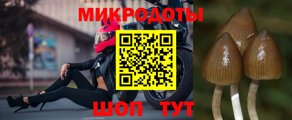 Дальнегорск  Псилоцибиновые грибы прущие грибы  что такое наркотик  Вход с VPN 